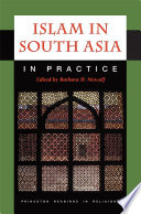 Islam in South Asia in practice /