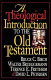 A theological introduction to the Old Testament /