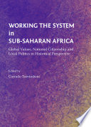 Working the system in Sub-Saharan Africa : global values, national citizenship and local politics in historical perspective /
