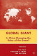 Global giant : is China changing the rules of the game? /
