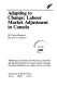 Adapting to change : labour market adjustment in Canada /