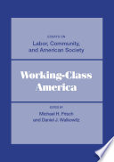 Working-class America : essays on labor, community, and American society /