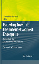 Evolving towards the internetworked enterprise : technological and organizational perspectives /