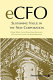 eCFO : sustaining value in the new corporation /