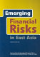 Emerging financial risks in East Asia /