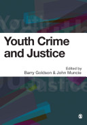 Youth, crime and justice : critical issues /