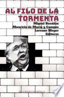 Al filo de la tormenta : un analisis de la relacion Mexico-Estados Unidos en visperas de la eleccion norteamericana de 2016 /