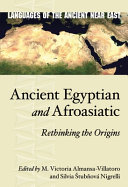 Ancient Egyptian and Afroasiatic : rethinking the origins /