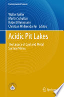 Acidic pit lakes the legacy of coal and metal surface mines /