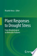 Plant responses to drought stress from morphological to molecular features /