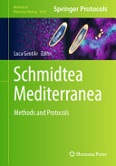 Schmidtea mediterranea : methods and protocols /