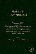 Mechanisms of DNA recombination and genome rearrangements.