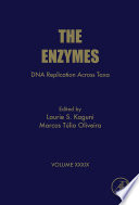 The enzymes.