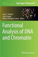 Functional analysis of DNA and chromatin /