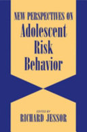New perspectives on adolescent risk behavior /
