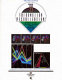1999 IEEE Symposium on Information Visualization (InfoVis'99) : proceedings : October 24-29, 1999, San Francisco, California /