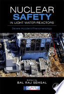 Nuclear safety in light water reactors : severe accident phenomenology /