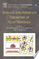 Surface and interface chemistry of clay minerals /