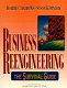Business reengineering : the survival guide /