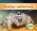 Arañas saltarinas