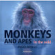 Monkeys and apes in the wild /