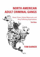 North American adult criminal gangs : street, prison, outlaw motorcycle, and drug trafficking organizations /