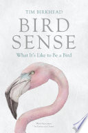 Bird sense : what it's like to be a bird /