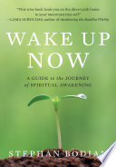Wake up now a guide to the journey of spiritual awakening /