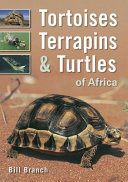 Tortoises, terrapins and turtles of Africa /