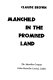 Manchild in the promised land /
