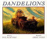 Dandelions /