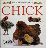 Chick /