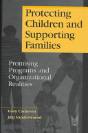 Protecting children and supporting families : promising programs and organizational realities /