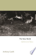 The new world : Infinitesimal epics /