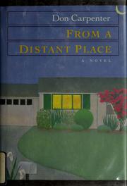 From a distant place : a novel /