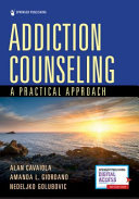 Addiction counseling : a practical approach /