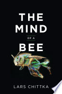 The mind of a bee /