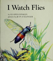 I watch flies /