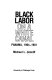 Black labor on a white canal : Panama, 1904-1981 /