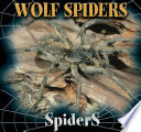 Wolf spiders /