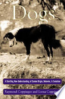 Dogs : a startling new understanding of canine origin, behavior, and evolution /