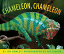 Chameleon chameleon /