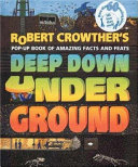 Robert Crowther's pop-up book of amazing facts and feats : deep down underground.