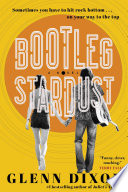 Bootleg stardust : a novel /