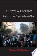 The Egyptian Revolution : between hope and despair : Mubarak to Morsi /
