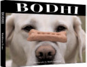 Bodhi : the all American lodge dog /