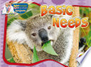 Basic needs /