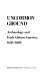 Uncommon ground : archaeology and early African America, 1650-1800 /