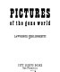Pictures of the gone world /