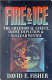 Fire & ice : the greenhouse effect, ozone depletion, and nuclear winter /